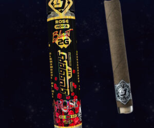 Rose Slugger Hits Blunt for Sale